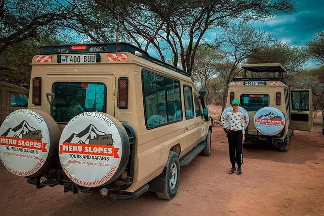 5 Days Camping Tarangire, Serengeti & Ngorongoro crater & Visiting Maasai - Day 4: sunrise, another game drive, and Ngorongoro