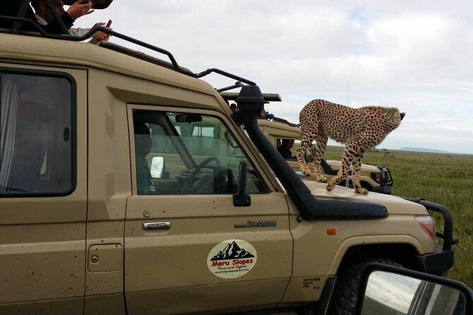 5 Days Camping Tarangire, Serengeti & Ngorongoro crater & Visiting Maasai - Who should book this camping safari?