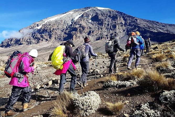 5 Days cheapest Kilimanjaro Marangu Route - Key Points Before You Book