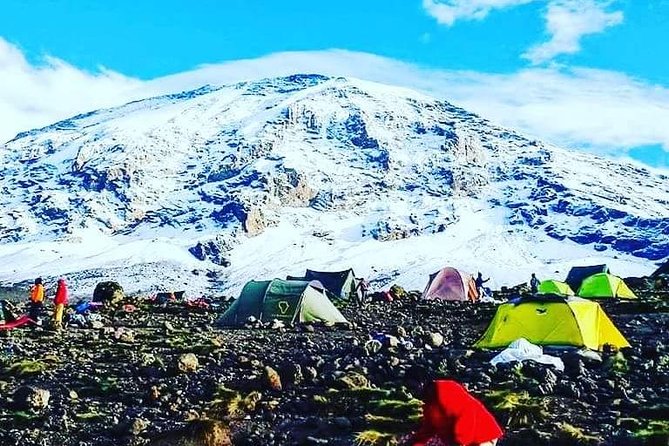 5 Days cheapest Kilimanjaro Marangu Route - Day One: Marangu Gate to Mandara Hut