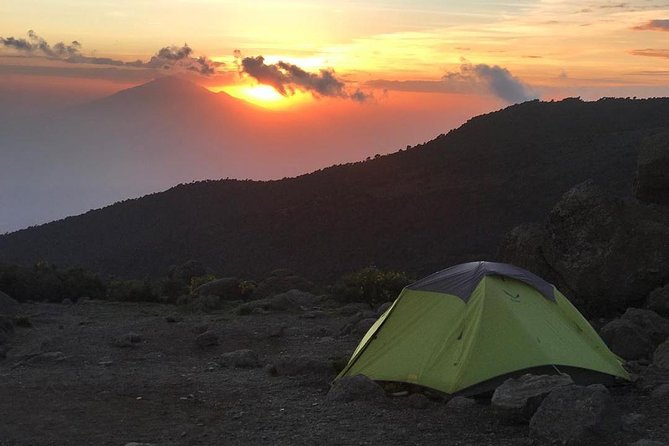 5 Days cheapest Kilimanjaro Marangu Route - Day Five: The Long Descent to Marangu Village