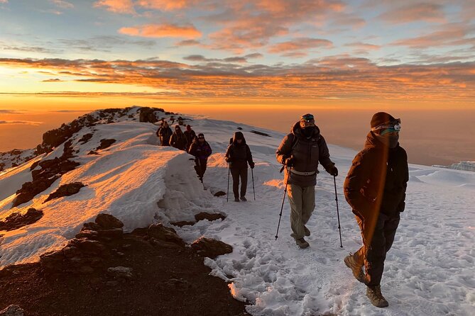 5 Days Classic Kilimanjaro Climb via Marangu route - Day 4: Gillman’s Point, Uhuru Peak, and the long return