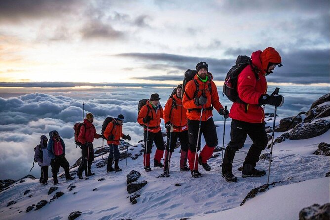 5 Days Classic Kilimanjaro Climb via Marangu route - Day 5: Returning through the forest to Arusha