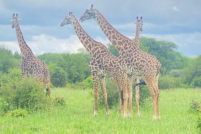5 Days Exclusive Camping Adventure in Northern Tanzania - Why this northern Tanzania route works
