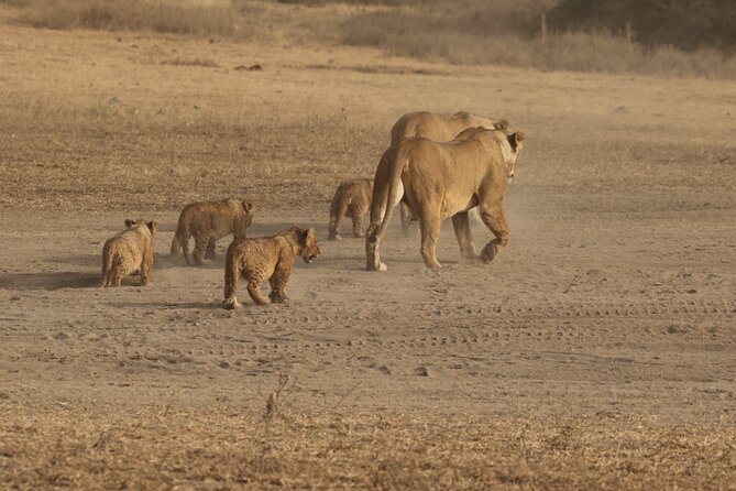 5 Days Group Camping Safari - Key points to know before booking