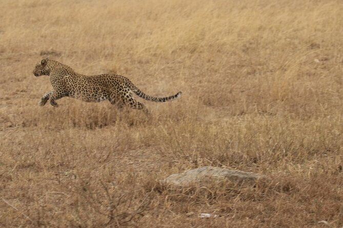 5 Days Group Camping Safari - Who will enjoy this safari most