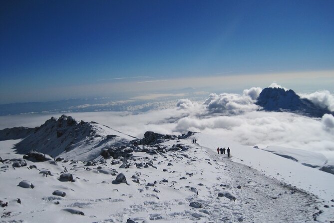 5 Days Kilimanjaro Trekking - Marangu Route - Mandara Hut and the first forest section