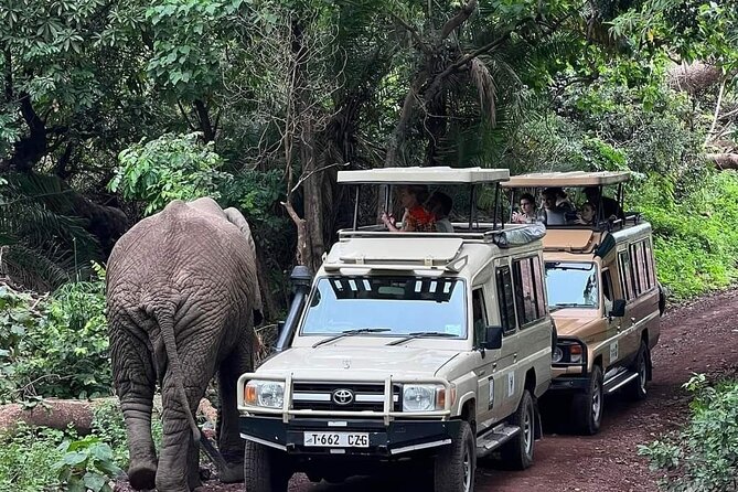 5-Days Lake Manyara, Serengeti, Ngorongoro Crater and Tarangire - Day 2: From the highlands into the Serengeti