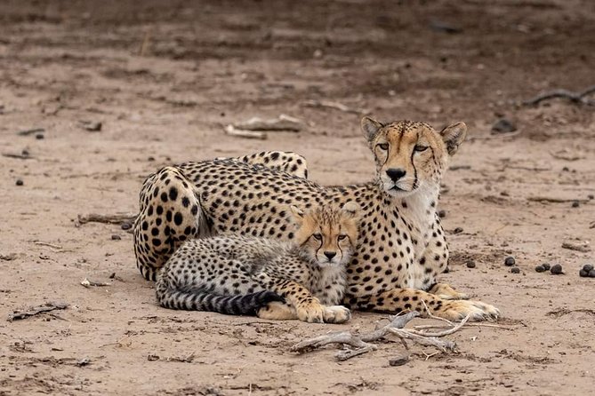 5 Days Luxury Lodge Safari Tour Tanzania - Why this five-day route works