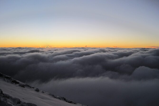 5 Days Marangu Route Kilimanjaro hiking - Day 5: Moorland, forest, and Marangu Gate