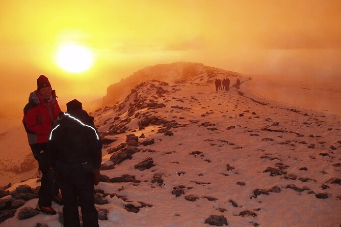 5 Days Marangu Route Kilimanjaro hiking - Day 2: Open moorland and the Horombo encampment