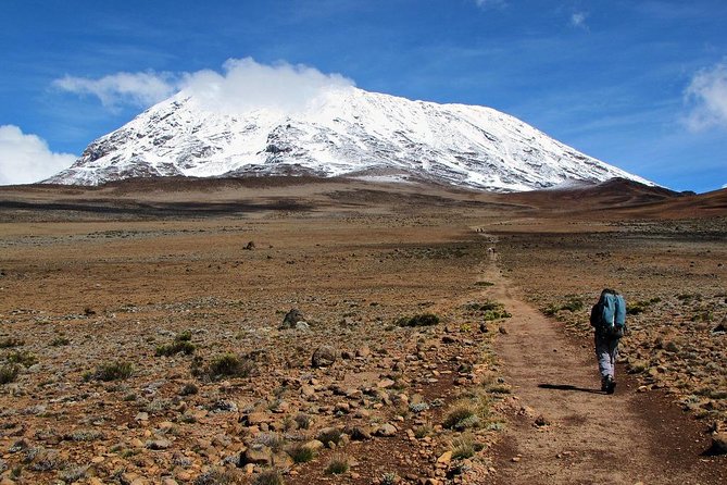 5 Days Marangu Route Kilimanjaro Trekking - Key points to know before you book