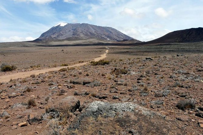 5 Days Marangu Route Kilimanjaro Trekking - Day 2: Moorland views at 3,700 meters
