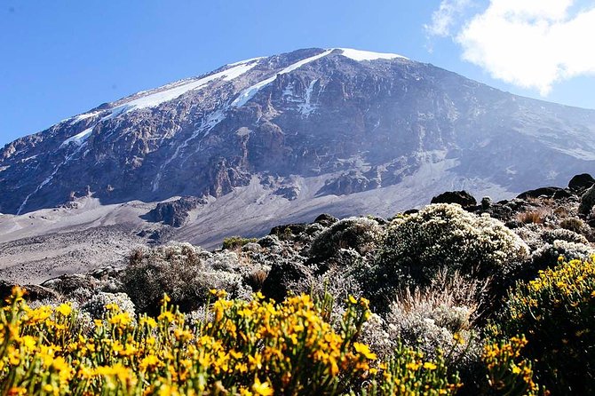 5 Days Marangu Route - Mount Kilimanjaro Trek - Day 5: Gillman’s Point, Uhuru Peak, and the long return