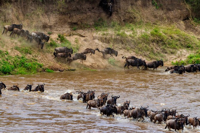 5 Days Mid-Range Group Safari with Accommodation - Day 1: Tarangire’s elephants and baobab country
