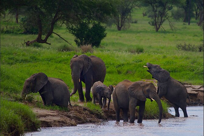 5 Days Northern Tanzania Safari- Lodging - A private vehicle changes the feel of the safari