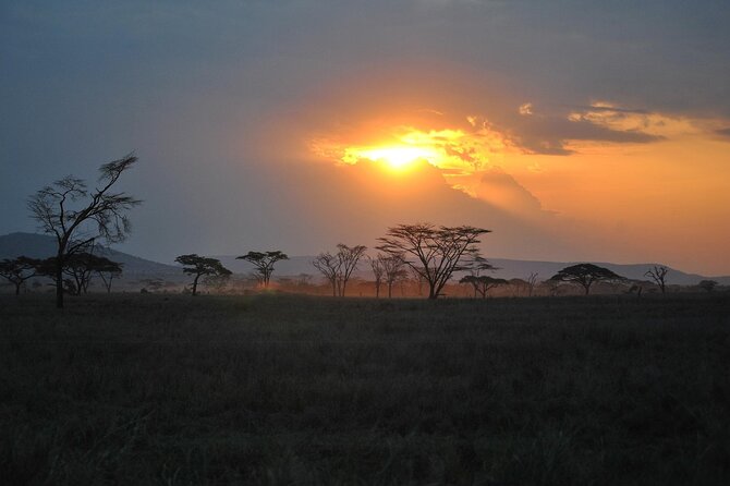 5 Days Northern Tanzania Safari- Lodging - Mto wa Mbu adds culture after the game drives