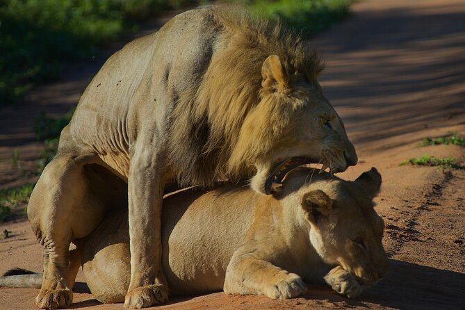 5 Days Northern Tanzania Safari- Lodging - Tarangire brings baobabs, birds, and elephants