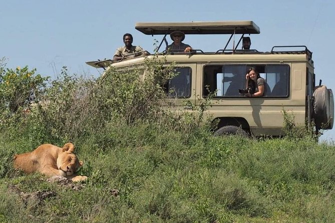 5-Days Private Midrange Safari: Serengeti, Ngorongoro & Manyara - Day Three: Serengeti Sunrise and a Night Near the Crater