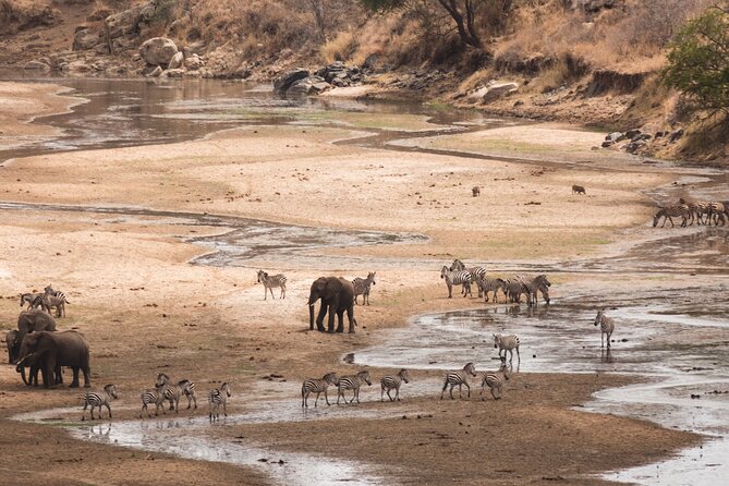 5-Days Private Midrange Safari: Serengeti, Ngorongoro & Manyara - Day Four: Descending Into Ngorongoro Crater