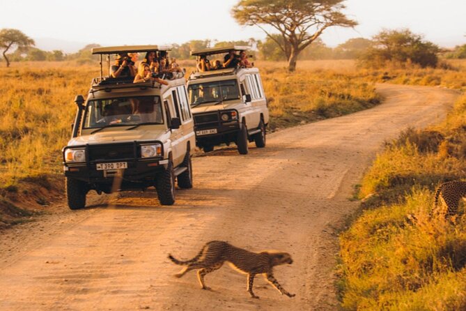 5-Days Private Midrange Safari: Serengeti, Ngorongoro & Manyara - Guides, Food, and Camp Comfort