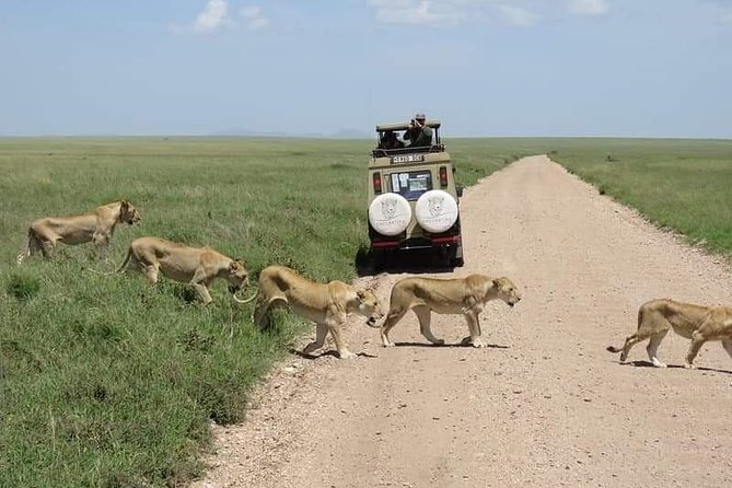 5-Days Private Midrange Safari: Serengeti, Ngorongoro & Manyara - What the Price Includes, and What It Does Not