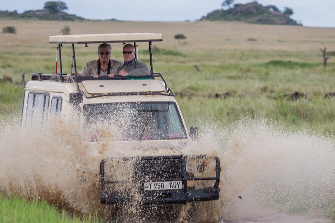 5-Days Private Midrange Safari: Serengeti, Ngorongoro & Manyara - Day Two: The Long Road to the Serengeti
