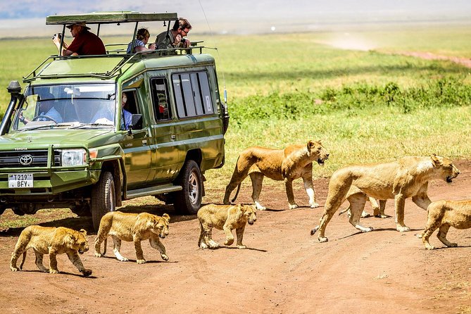5 Days Private Safari- Tarangire, Serengeti, Ngorongoro & Manyara - Four Parks in Five Days