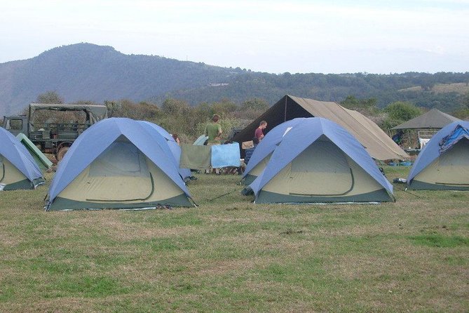 5 Days Private Safari- Tarangire, Serengeti, Ngorongoro & Manyara - Guides, Driving, and the Feel of the Trip