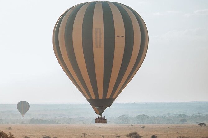 5-Days Private Safari Tour in Trangire, Serengeti, and Ngorongoro Crater - Meals, accommodation, and daily comfort
