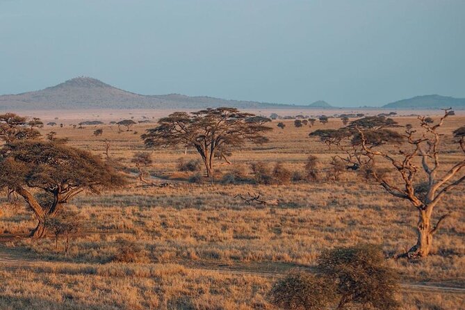 5-Days Private Safari Tour in Trangire, Serengeti, and Ngorongoro Crater - Day 2: The long road into the Serengeti