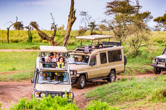 5 Days Private Safari Tour & Maasai village Visit Tanzania - Key points before you book