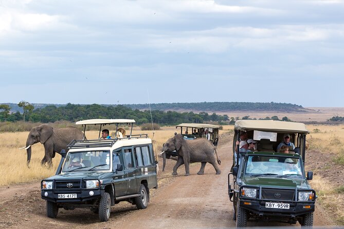 5 Days Private Safari Tour & Maasai village Visit Tanzania - What this five-day safari is really like