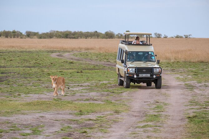 5 Days Private Safari Tour & Maasai village Visit Tanzania - Day 2: Tarangire’s baobabs and large elephant herds