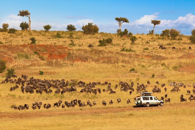 5 Days Private Safari Tour & Maasai village Visit Tanzania - Day 5: Sunrise and the wildlife bowl of Ngorongoro Crater
