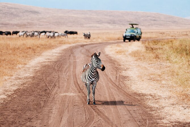 5 Days Private Safari Tour & Maasai village Visit Tanzania - What the $2,215 price includes