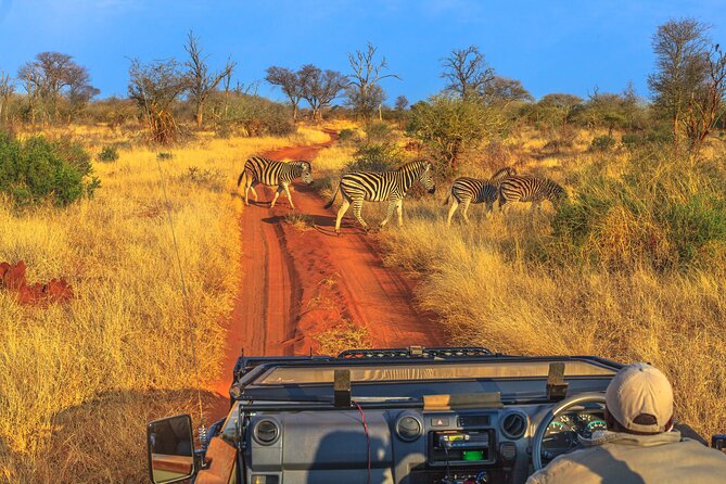 5 Days Private Safari Tour & Maasai village Visit Tanzania - Day 1: Lake Manyara, forest, hot springs, and Rift Valley views
