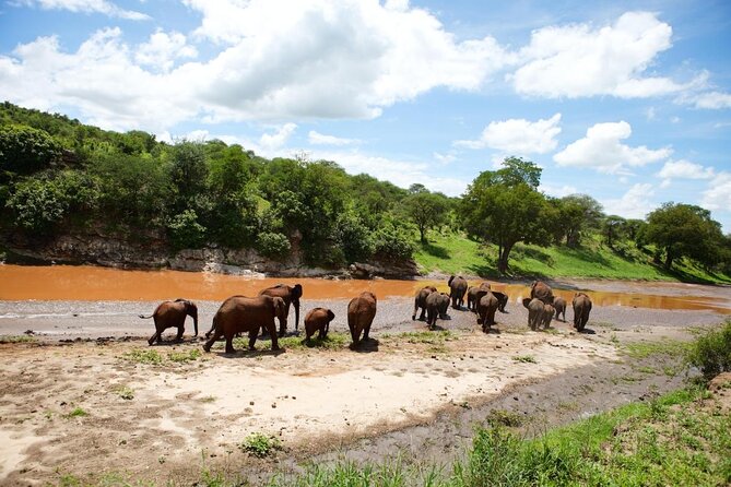 5-Days Private Serengeti Wildebeest Migration Lodge Safaris - Five details that shape this safari