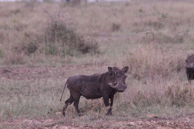 5-Days Private Tanzania Safari Tour - Days 2 and 3: Two views of the Serengeti