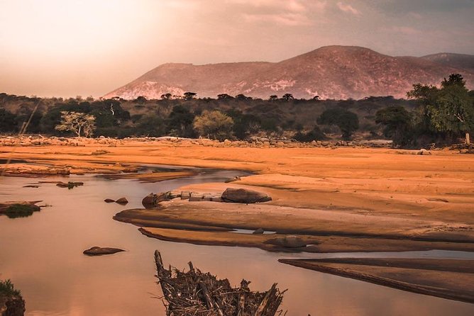 5 Days Ruaha National Park Safari - Guides, food, and the human side of the trip