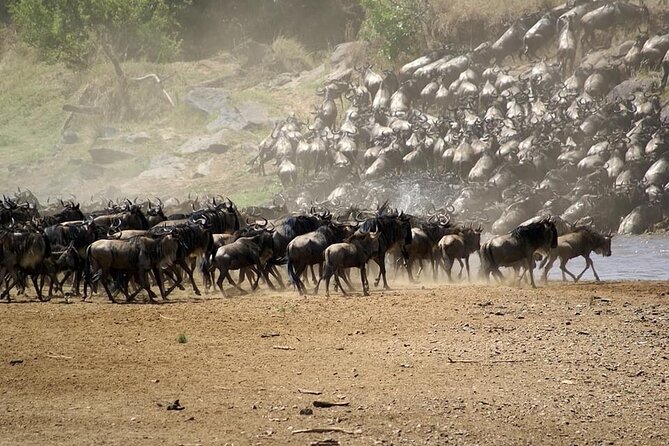 5 Days Safari Adventure in Tanzania - Day one: Tarangire begins the wildlife story
