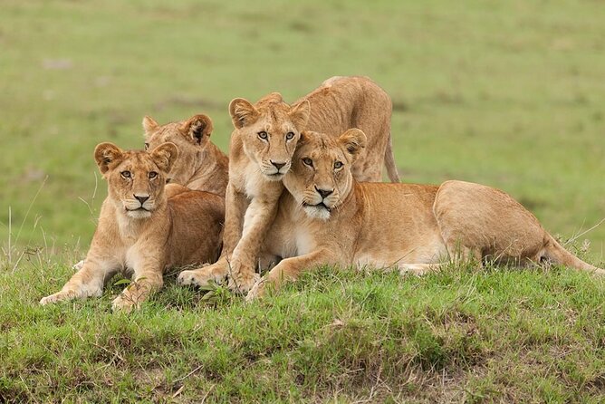 5 Days Safari Adventure in Tanzania - What the $2,600 price really covers