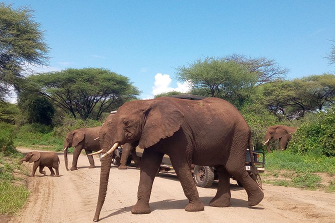 5 Days Safari from Dar es Salaam to Tarangire NP, Manyara NP & Ngorongoro Crater - Why This Route Works, and Where It Tests You