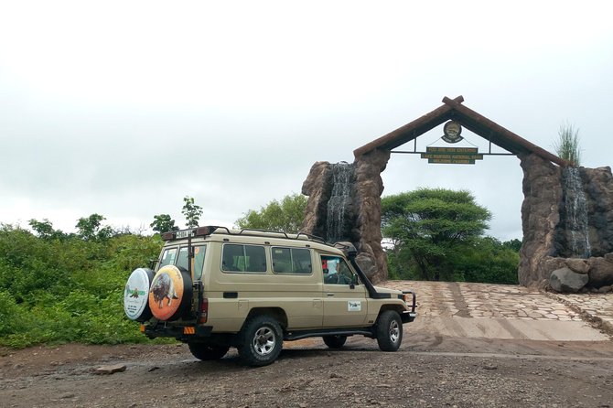 5 Days Safari from Dar es Salaam to Tarangire NP, Manyara NP & Ngorongoro Crater - Comfort, Timing, and Who Will Enjoy It