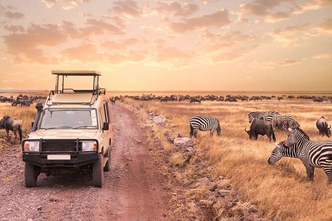 5 days safari, hiking & culture (Serengeti & kilimanjaro) - A big five safari with a local finish
