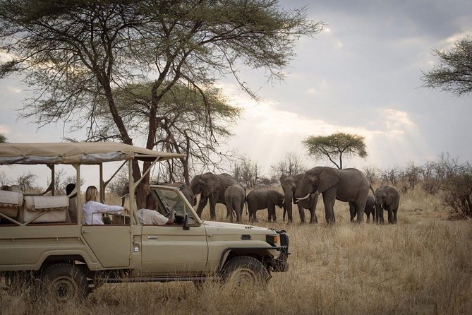 5 Days Safari In Serengeti And Ngorongoro - What this five-day route does well