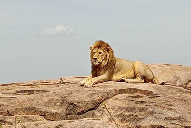 5 Days Safari In Serengeti And Ngorongoro - Olduvai Gorge and the first Serengeti game drive