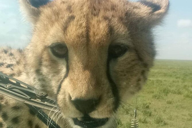 5 Days Safari In Serengeti And Ngorongoro - Is $3,500 per person good value?