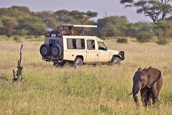 5 Days Safari in Tanzania | Camping and Lodge Safaris - Why this five-day route works