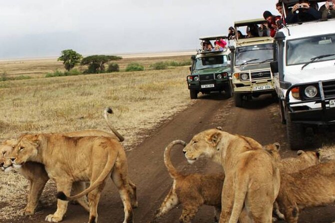 5 Days Safari in Tanzania | Camping and Lodge Safaris - Day 3: A full day across the endless plains